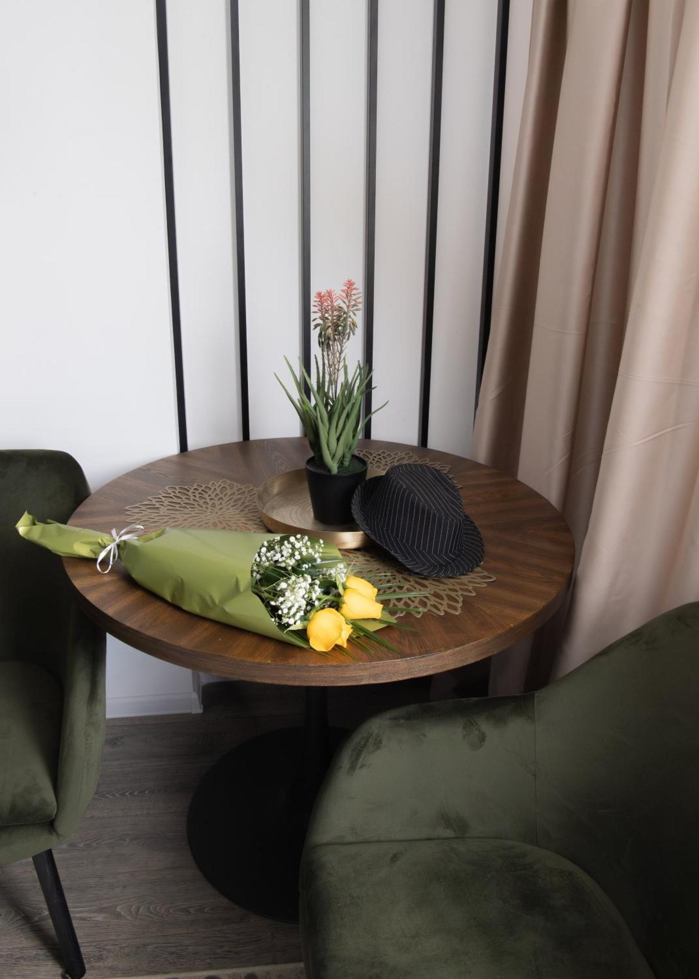 Apartment Oltenia George Enescu *